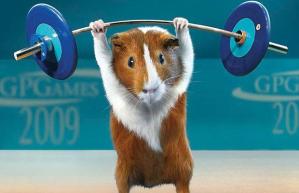 (from The Guinea Pig Olympics)